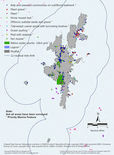 A map of the Shetland Islands showing subtidal sediment distribution and supported habitats within the Shetland Islands Marine Region. The map depicts the locations of: kelp and seaweed communities on sublittoral sediment, maerl and maerl gravel, horse mussel beds, offshore subtidal sands and gravel, tide-swept coarse sands with burrowing bivalves, ocean quahog, mud with seapens fan mussels, native oysters, lagoons, and mudflats. All of these species and habitats are Priority Marine Features. Note: not all areas have been surveyed.