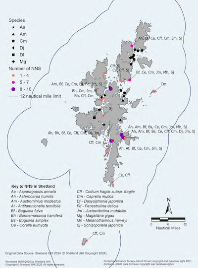 A map of the Shetland Islands showing point records of sixteen marine non-native species within the Shetland Islands Marine Region. More non-native species have been found in Lerwick harbour and Scalloway harbour than in other areas but there are records for non-native species across the isles.