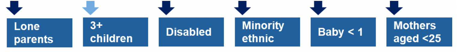 This is an infographic showing that lone parents, families with disabled people, minority ethnic families, families with a baby less than one year old and mothers aged less than 25 are the priority families who will be directly targeted in this area of focus. Families with three or more children will be targeted indirectly.