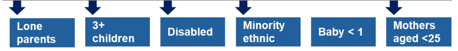 This is an infographic showing that lone parents, families with three or more children, families with disabled people, minority ethnic families and mothers aged less than 25 are the priority families who will be directly targeted in this area of focus. 