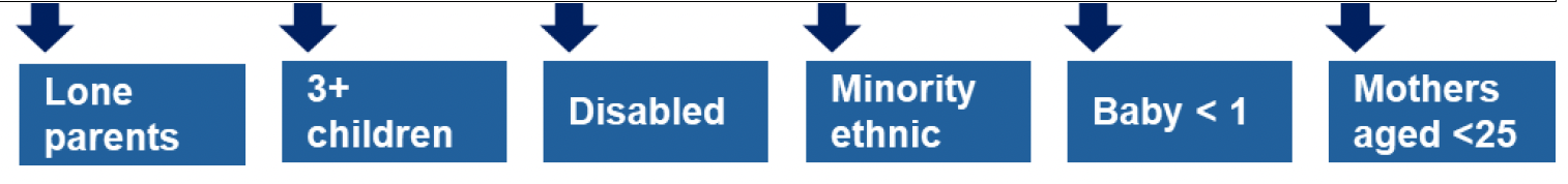 This is an infographic showing that lone parents, families with three or more children, families with disabled people, minority ethnic families, families with a baby less than one year old and mothers aged less than 25 are the priority families who will be directly targeted in this area of focus. 