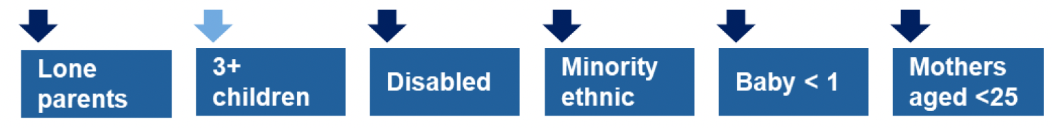 This is an infographic showing that lone parents, families with disabled people, minority ethnic families, families with a baby less than one year old and mothers aged less than 25 are the priority families who will be directly targeted in this area of focus. Families with three or more children will be targeted indirectly.