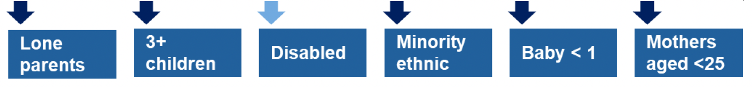 This is an infographic showing that lone parents, families with three or more children, minority ethnic families, families with a baby less than one year old and mothers aged less than 25 are the priority families who will be directly targeted in this area of focus. Families with disabled people will be targeted indirectly.