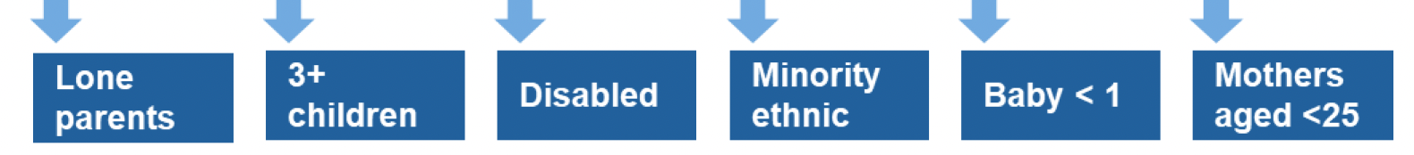 This is an infographic showing that lone parents, families with three or more children, families with disabled people, minority ethnic families, families with a baby less than one year old and mothers aged less than 25 are the priority families who will be indirectly targeted in this area of focus.