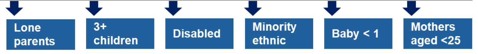 This is an infographic showing that lone parents, families with three or more children, families with disabled people, minority ethnic families, families with a baby less than one year old and mothers aged less than 25 are the priority families who will be directly targeted in this area of focus.