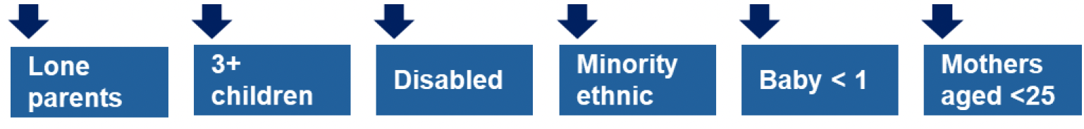 This is an infographic showing that lone parents, families with three or more children, families with disabled people, minority ethnic families, families with a baby less than one year old and mothers aged less than 25 are the priority families who will be directly targeted in this area of focus.