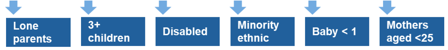 This is an infographic showing that lone parents, families with three or more children, families with disabled people, minority ethnic families, families with a baby less than one year old and mothers aged less than 25 are the priority families who will be indirectly targeted in this area of focus.
