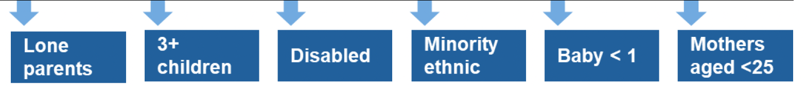 This is an infographic showing that lone parents, families with three or more children, families with disabled people, minority ethnic families, families with a baby less than one year old and mothers aged less than 25 are the priority families who will be indirectly targeted in this area of focus.