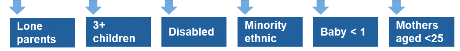 This is an infographic showing that lone parents, families with three or more children, families with disabled people, minority ethnic families, families with a baby less than one year old and mothers aged less than 25 are the priority families who will be indirectly targeted in this area of focus.