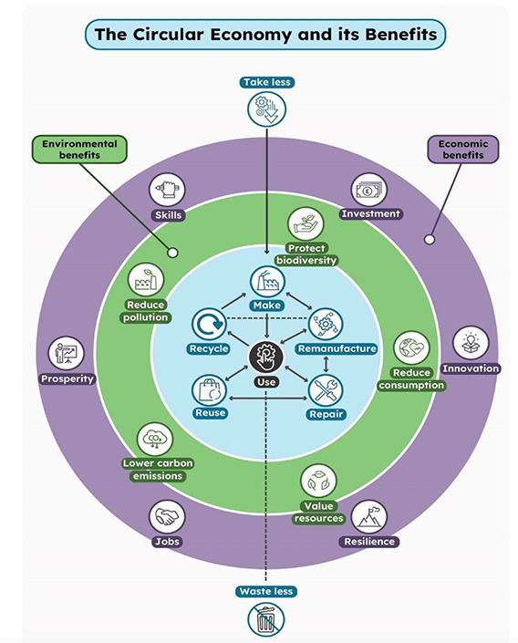 Infographic illustrating the circular economy cycle with actions, environmental and economic benefits.