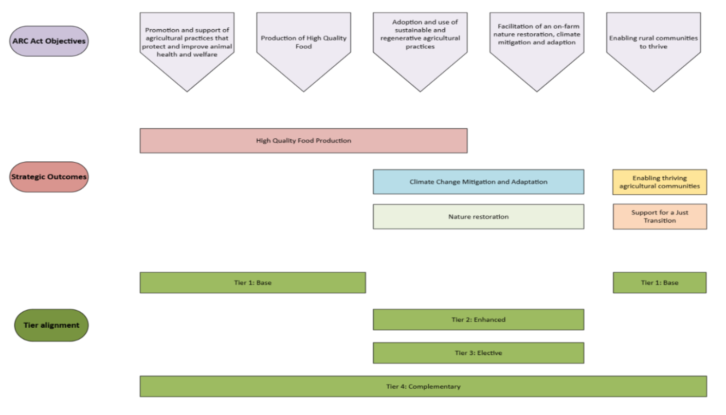 Infographic representing the information in the text below.