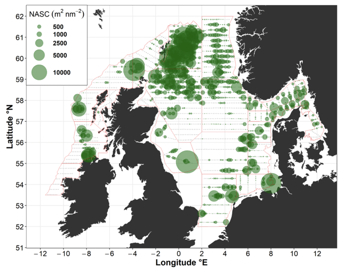 Map of the North Sea showing survey data as green circles of different sizes, where larger circles represent higher fish density (NASC values). The largest clusters appear in the northern North Sea near Norway and above Scotland, with fewer and smaller circles in the southern areas.