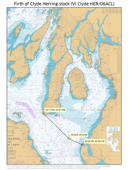 Map of the Firth of Clyde showing herring stock area with marked sampling points and coordinates along a survey route.