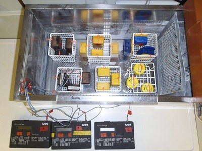 Picture of water bath used to calibrate each logger against ‘internal reference’ logger